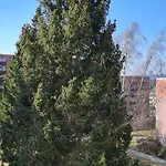 Fewo-jola