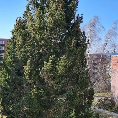 Fewo-jola